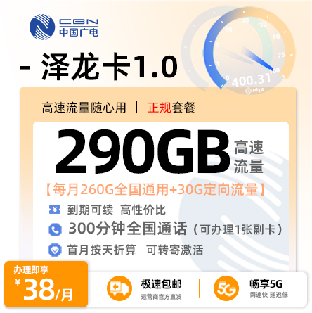 广电泽龙卡1.0  38元/月享290G全国流量+300分钟通话